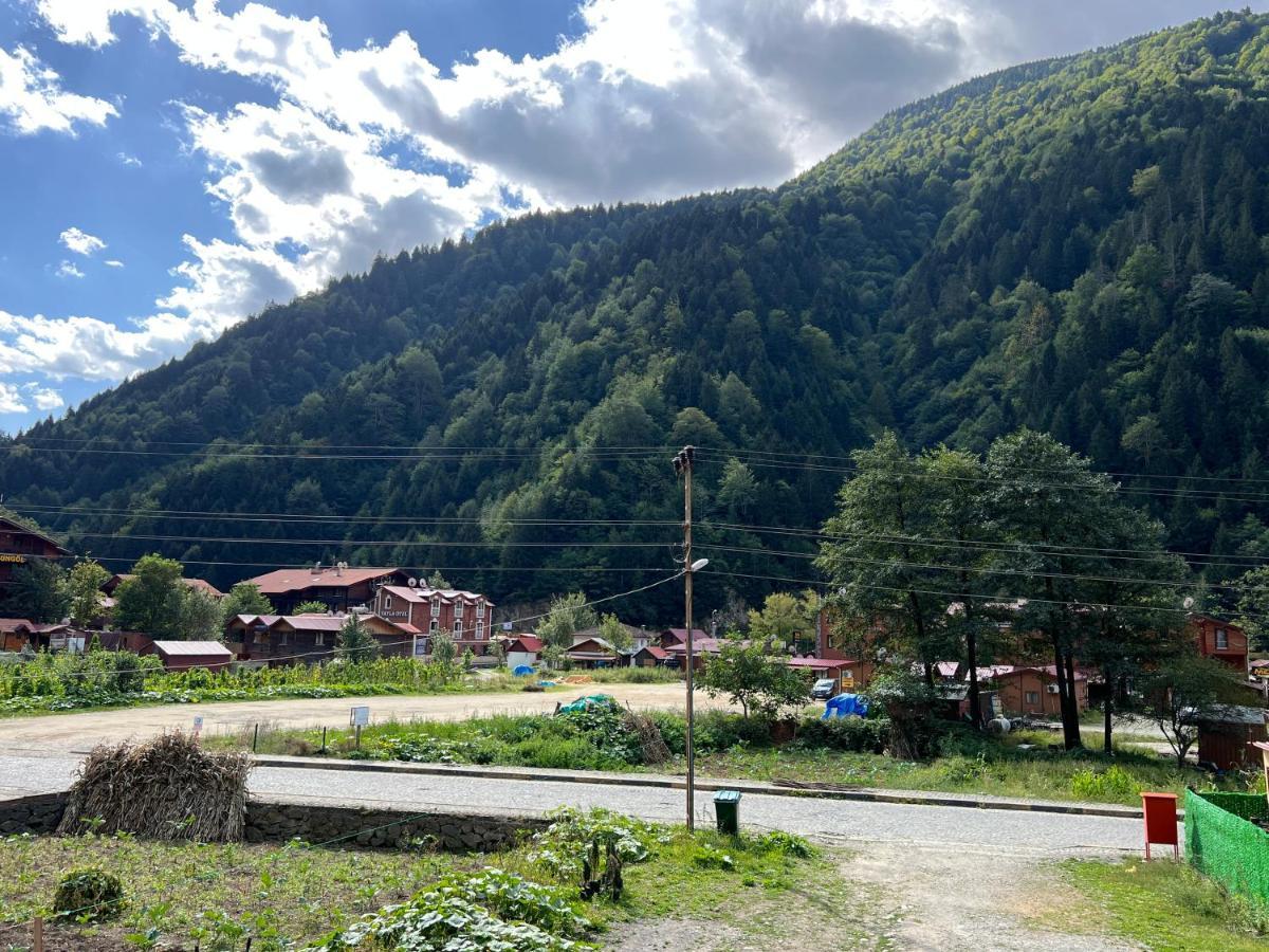 Karadeniz Apart Otel Uzungöl Buitenkant foto